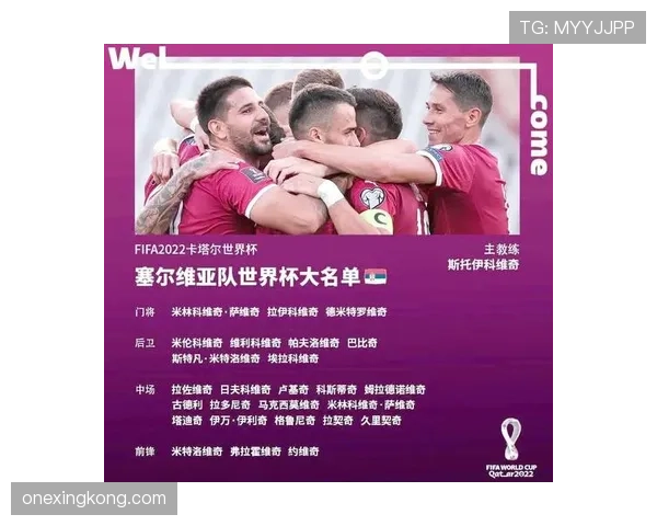 世界杯H组最强阵容全面解析